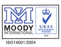 MOODY INTERNATIONAL